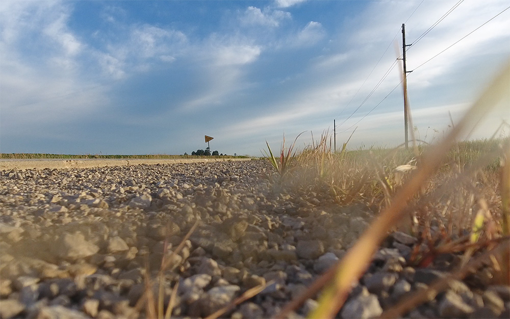 Tale of Two Farms: Which One Buys the Land Across the Road?